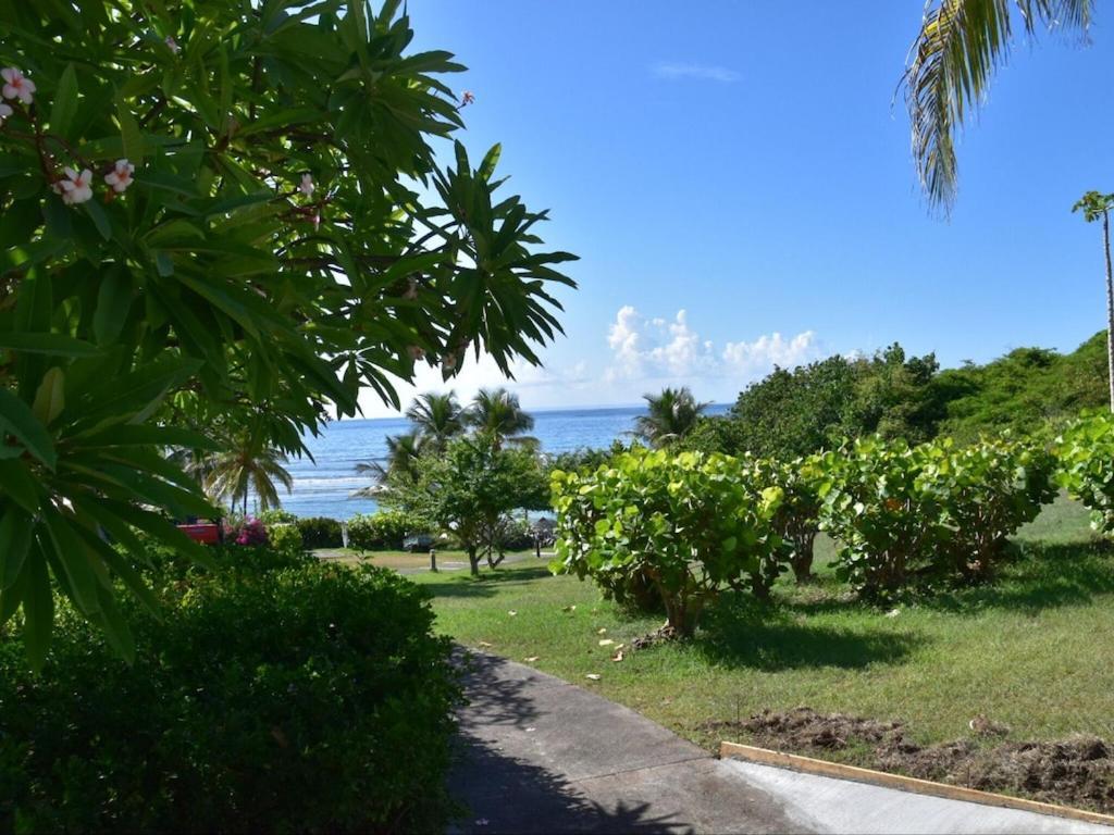Studio Village Vacances,Vue Mer, Plage A 30M ,Wifi A Sainte Anne Екстериор снимка